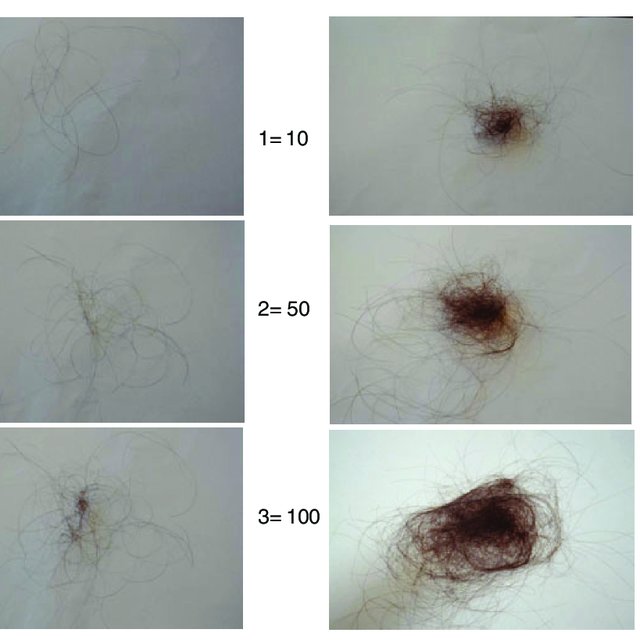 Average Hair Loss Per Day